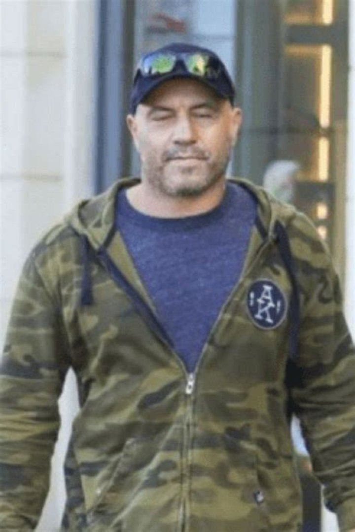 
Is Fear Factor Host Joe Rogan Married? 