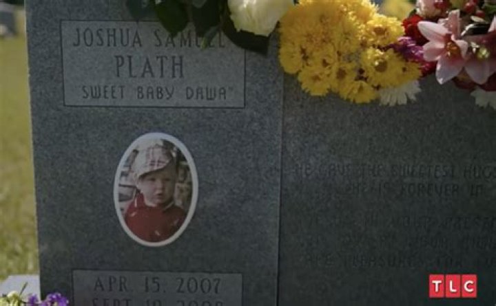 
Joshua Samuel Plath Obituary, What was Joshua Samuel Plath Cause of Death? 
