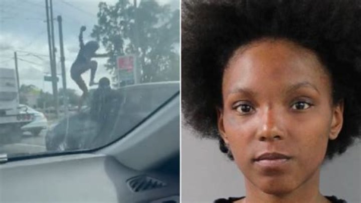 
Who is Wyatt Reed? Man arrested for road rage on Interstate 25 near Mead 